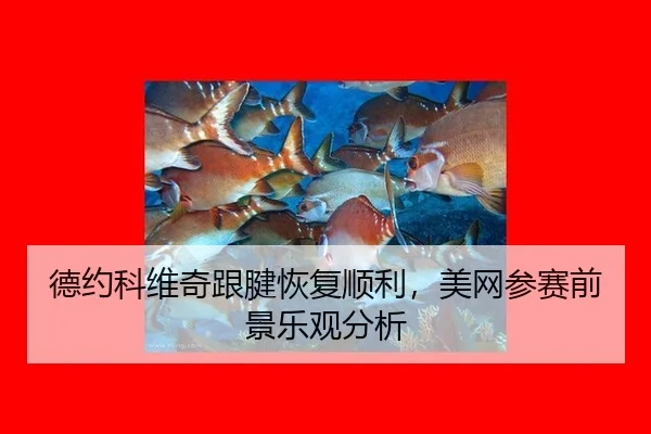 de-yue-ke-wei-qi-gen-jian-hui-fu-shun-li-mei-wang-can-sai-qian-jing-le-guan-fen-xi-2-280.jpg