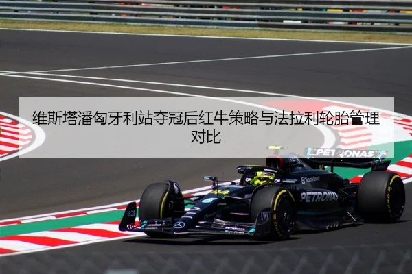 wei-si-ta-pan-xiong-ya-li-zhan-duo-guan-hou-hong-niu-ce-lve-yu-fa-la-li-lun-tai-guan-li-dui-bi-3-458.jpg