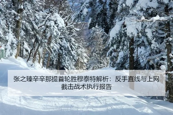 zhang-zhi-zhen-xin-xin-na-ti-shou-lun-sheng-mu-tai-te-jie-xi-fan-shou-zhi-xian-yu-shang-wang-jie-ji-zhan-shu-zhi-xing-2-487.jpg